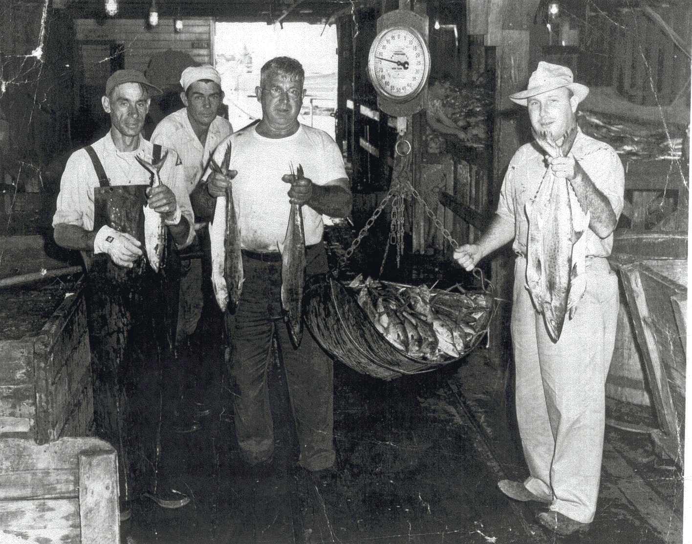 Ed Fisher at the Old Canaveral Pier with other men holding up and weighing the catch of the day (fish)